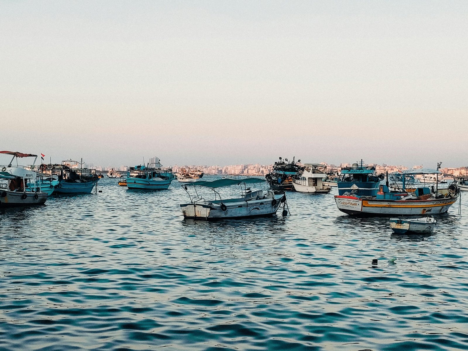 pexels-photo-33139334